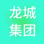 龙城集团（山西）有限公司