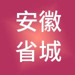 安徽省城投集团供应链管理有限公司