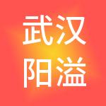 武汉阳溢卓越财税服务有限公司