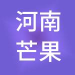河南芒果财税服务有限公司