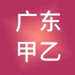 广东甲乙丙丁财税服务有限公司