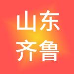 山东齐鲁宜嘉财税服务有限公司