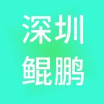深圳鲲鹏志财务代理有限公司