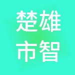 楚雄市智能财税服务有限公司