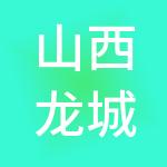 山西龙城财税服务有限公司