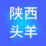 陕西头羊企业服务有限公司
