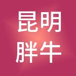 昆明胖牛财税服务有限公司