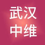 武汉中维财税服务有限公司