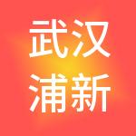 武汉浦新税务师事务有限责任公司