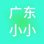 广东小小财税服务有限公司