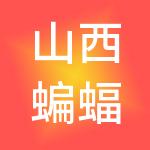 山西蝙蝠财税服务有限公司