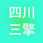 四川三擎财税服务有限公司
