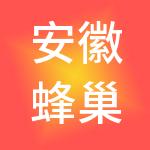 安徽蜂巢财税服务（集团）有限公司