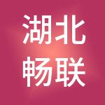 湖北畅联财税服务咨询中心（特殊普通合伙）