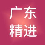 广东精进财税服务有限公司
