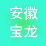 安徽宝龙财税服务有限公司