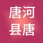 唐河县唐洲财税服务有限公司