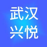 武汉兴悦达助力财税服务有限公司