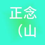 正念（山东）财税服务有限公司