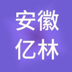安徽亿林财务管理有限公司