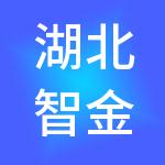 湖北智金财税服务有限公司