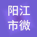 阳江市微企财税服务有限公司