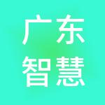 广东智慧云财税服务有限公司
