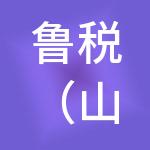 鲁税（山东）财税服务有限公司