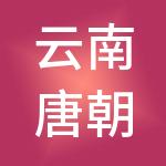 云南唐朝财税服务有限公司
