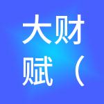 大财赋（湖北）财税服务有限公司