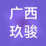 广西玖骏财税服务有限公司