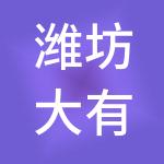 潍坊大有财税服务有限责任公司