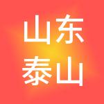 山东泰山财税服务有限公司