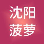 沈阳菠萝财税服务有限公司