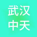 武汉中天银和财税服务有限公司
