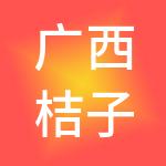 广西桔子财税服务有限公司