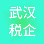 武汉税企安财税服务有限公司