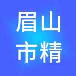 眉山市精点财税服务有限公司