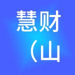 慧财（山东）财税服务有限公司