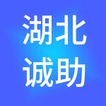 湖北诚助财税服务有限公司