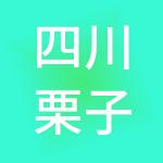 四川栗子财税服务有限公司