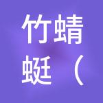 竹蜻蜓（广州）财税服务有限公司