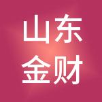 山东金财财税服务有限公司