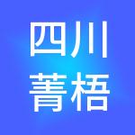 四川菁梧桐财税服务有限公司
