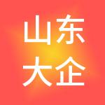 山东大企财务咨询有限公司