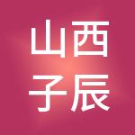 山西子辰财税服务有限公司
