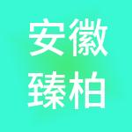 安徽臻柏财税服务有限公司
