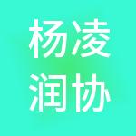 杨凌润协财税服务有限公司