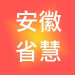 安徽省慧良财税服务有限公司