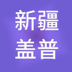 新疆盖普财税服务有限公司